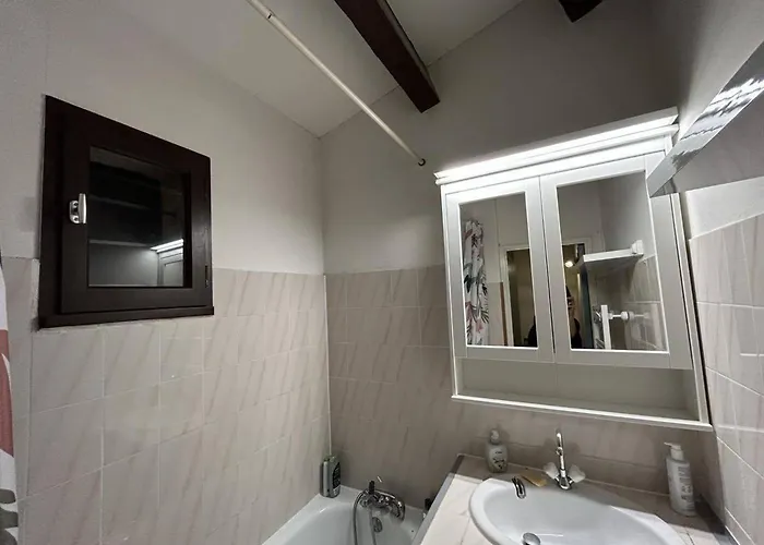 Charmante Climatisee Avec Piscine Et Parking Au Calme - Fr-1-607-158 Apartamento Agde