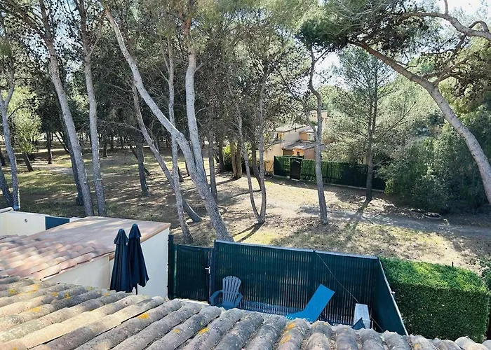 Charmante Climatisee Avec Piscine Et Parking Au Calme - Fr-1-607-158 Agde